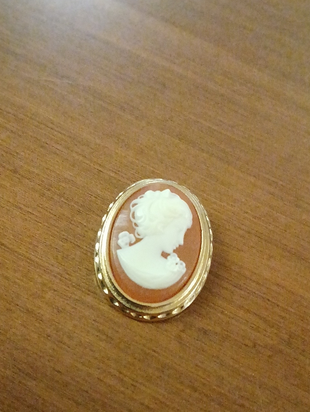 Vintage Classic Cameo Brooch/ Pendant in White and Brown with Gold Tone Frame